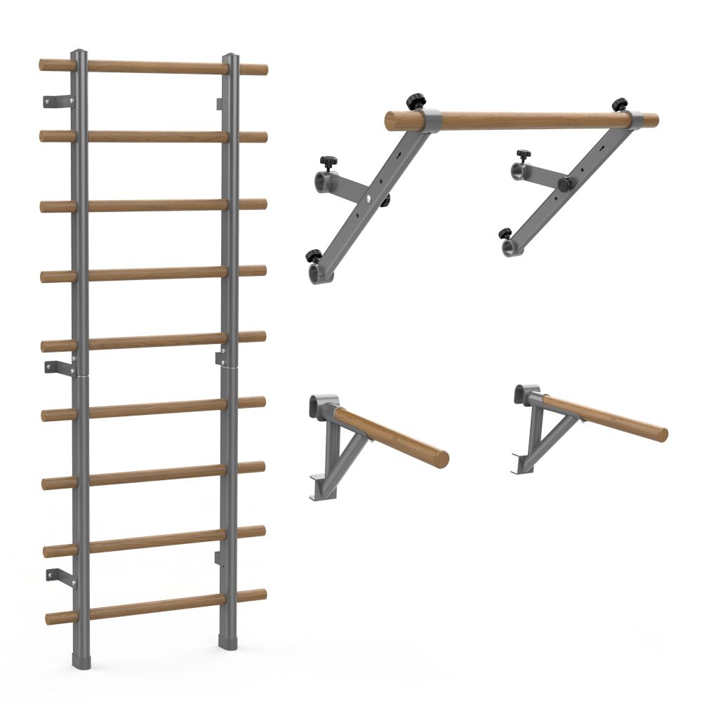 Ribbevegg 199 × 80 cm med Pull-Up Bar og Dipsstativ inSPORTline Wootaline