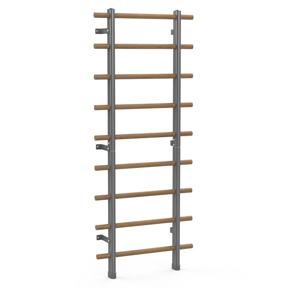 Ribbevegg 199 × 80 cm med Pull-Up Bar og Dipsstativ inSPORTline Wootaline