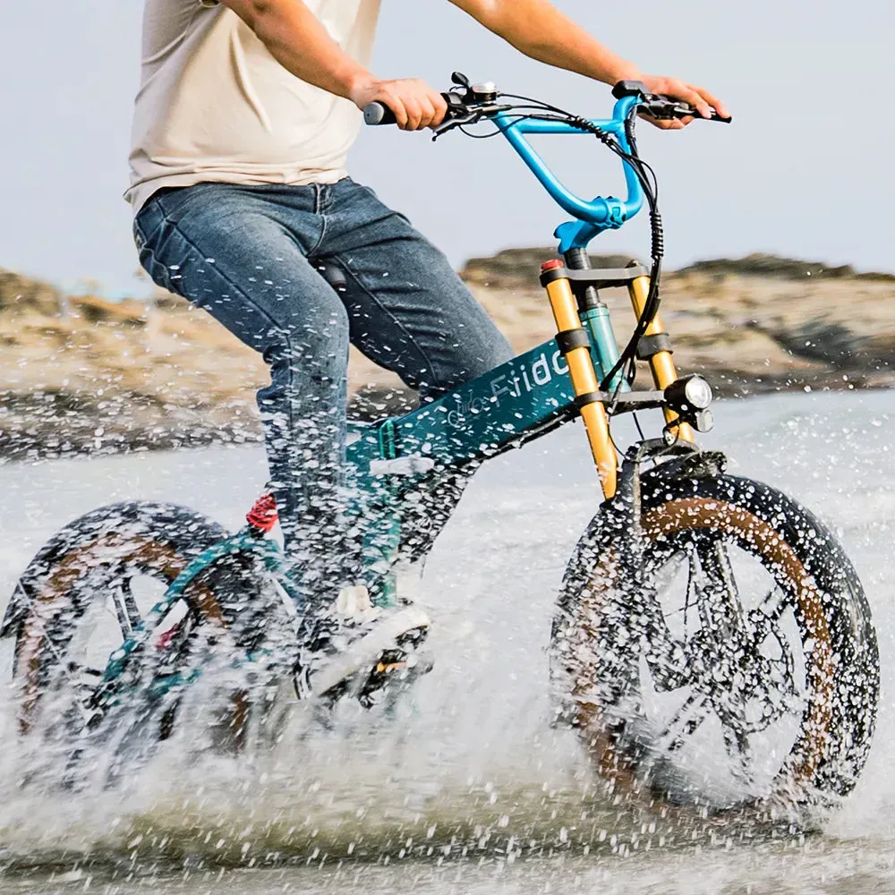 DEMO - Fiido M1 Pro - Fulldempet sammenleggbar el-fatbike